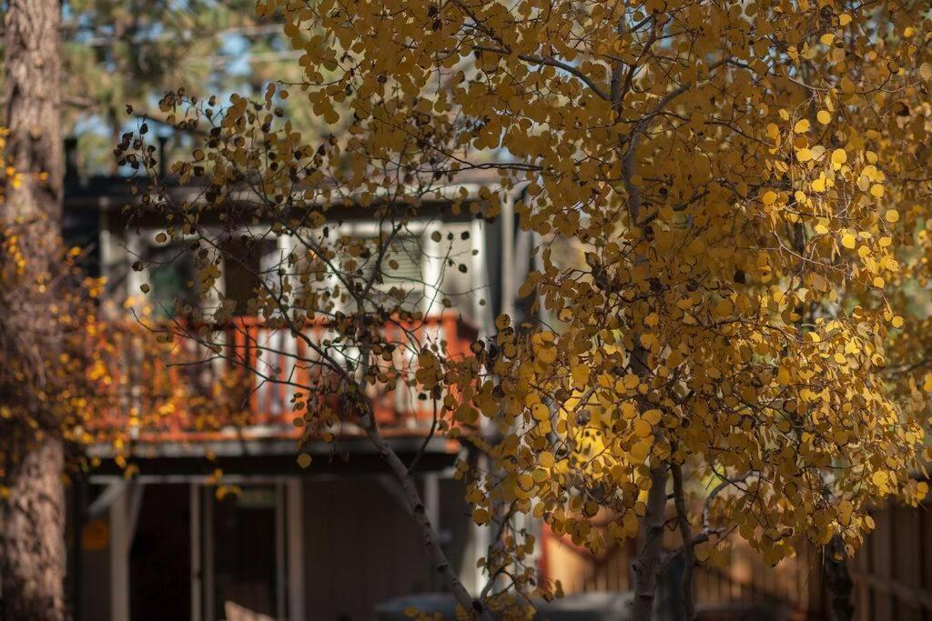 Cozy Cabin I King Bed I Fireplace I Hot Tub I Fenced Yard I Bbq Big Bear City Extérieur photo